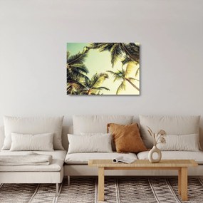 Tablou pe sticlă - Palmieri de cocos (70x50 cm)