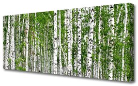 Tablou pe panza canvas Birch Forest Copaci Natura Verde Alb