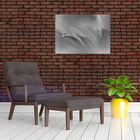 Tablou - Picătură pe floare,alb-negru (70x50 cm)