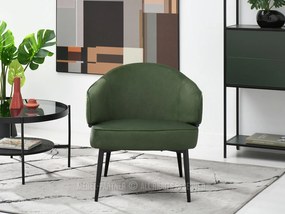 Fotoliu Alfredo (verde + negru). Promo -14%. 1109870