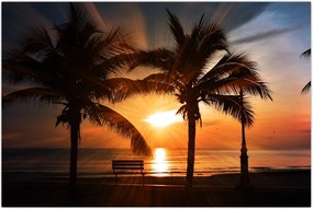 Tabou - Privire la mare (90x60 cm)