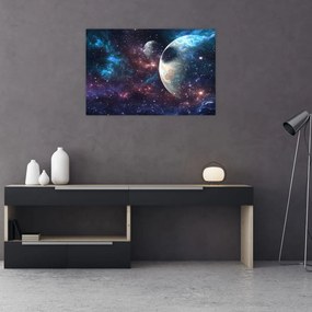 Tablou cu cosmos (90x60 cm)