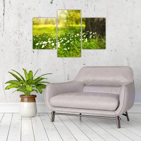 Tablou cu poiana și flori (90x60 cm)