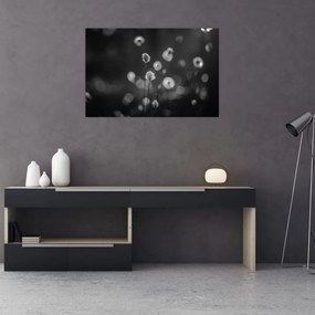 Tablou - Iarba de bumbac în pajiște (90x60 cm)