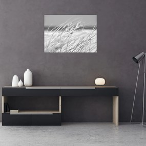 Tablou pe sticlă - Iarbă de plajă (70x50 cm)