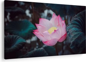 Tablou cu floare roz (90x60 cm)