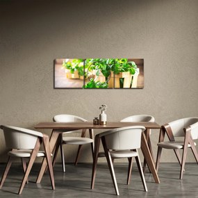 Tablou cu menta proaspătă (cu ceas) (90x30 cm)
