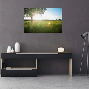 Tablou - Copac în câmp (90x60 cm)