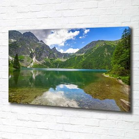 Imprimare tablou canvas Marine ochi tatry