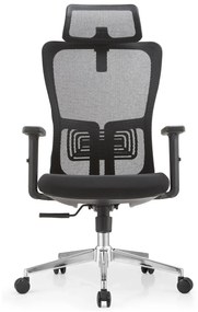 Scaun ergonomic Dana-H, Mesh/Textil, Negru