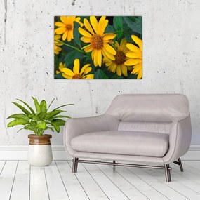 Tablou pe sticlă cu flori galbene (70x50 cm)
