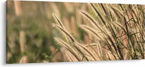 Tablou - Cereale (120x50 cm)