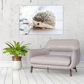 Tablou cu arici (90x60 cm)