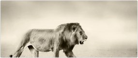 Tablou - Leul flămând (120x50 cm)