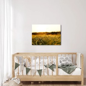 Tablou iarba cu rouă (70x50 cm)