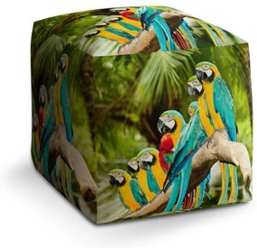 Taburet Cube papagali pe ramură, colorat