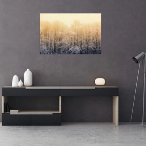 Tablou cu pădure geroasă (90x60 cm)