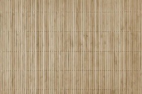 Paravn din bambus 150x300cm 12mm