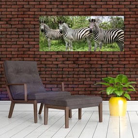 Tablou cu zebre (120x50 cm)
