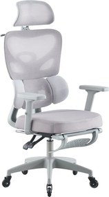 Scaun ergonomic, Suport Lombar 3 Zone Dinamice, Spătar ajustabil pe inaltime, cotiere 3D, tetiera 3D, suport pentru picioare, umeras, pivotant, Mesh, Gri