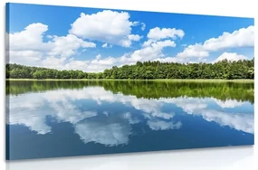 Tablou natura în timpul verii