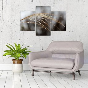 Tablou - Picături pe plantă (90x60 cm)