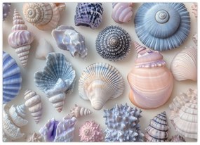 Tablou pe sticlă - Colecție de scoici (70x50 cm)