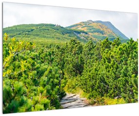 Tablou - Babi Hora, Polonia (90x60 cm)