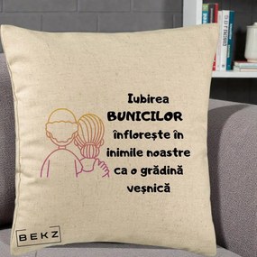 Cadou pentru Bunici - Perna Personalizata Iubirea Bunicilor Infloreste Cuplu Line Art Gradient, 40x40 cm, Bej, Husa Detasabila, Perna Inclusa, BEKZ®