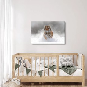 Tablou cutigru fugind prin zăpadă (90x60 cm)