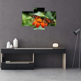 Tablou cu fluture pe floare (90x60 cm)