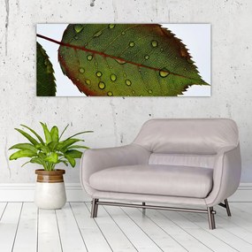 Tablou - Frunze de trandafir (120x50 cm)