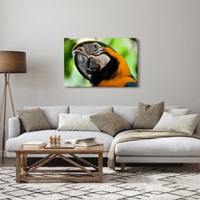 Tablou cu papagal (90x60 cm)
