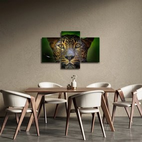 Tablou - Portretul leoparduslui, Sri Lanka (90x60 cm)
