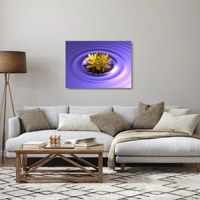 Tablou pe sticlă - Lotus (70x50 cm)