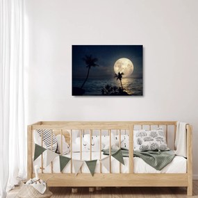 Tablou pe sticlă - Plaja cu lună plină (70x50 cm)