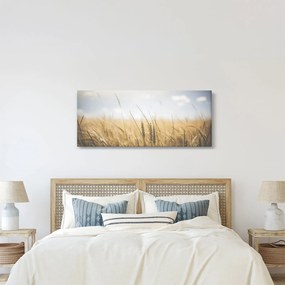 Tablou cu grâne (120x50 cm)