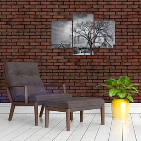 Tablou cu sat alb negru (90x60 cm)