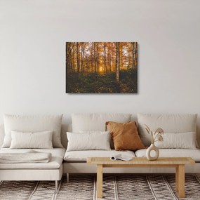 Tablou pe sticlă - Pădurea toamna (70x50 cm)
