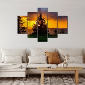 Tablou - coniferi (150x105 cm)