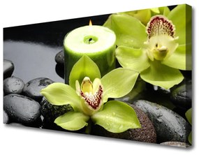 Tablou pe panza canvas Pietre florale flori verde negru