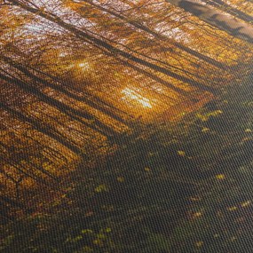 Tablou - Pădurea toamna (90x60 cm)