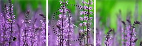 Tablou cu flori de luncă violete (cu ceas) (90x30 cm)