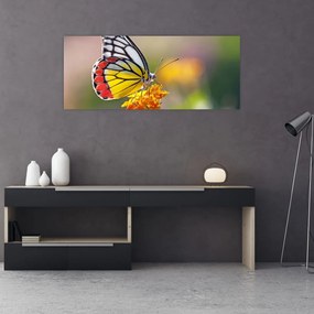 Tablou - Fluture pe floare (120x50 cm)