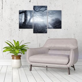 Tablou - Drum pin ceață (90x60 cm)