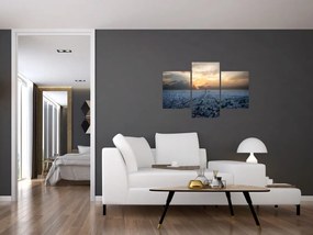 Tabloul - Paris din înâlțime (90x60 cm)