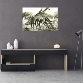 Tablou - Girafe, de epocă (90x60 cm)