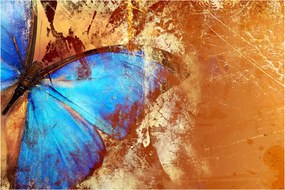 Tablou - Fluture albastru (90x60 cm)