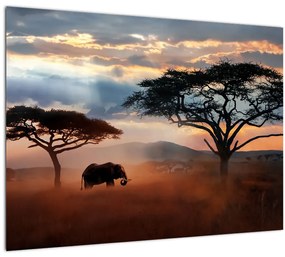Tablou pe sticlă - Parcul Național Serengeti, Tanzania, Africa (70x50 cm)