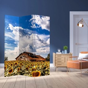 Paravan - Câmp de floarea soarelui (126x170 cm)